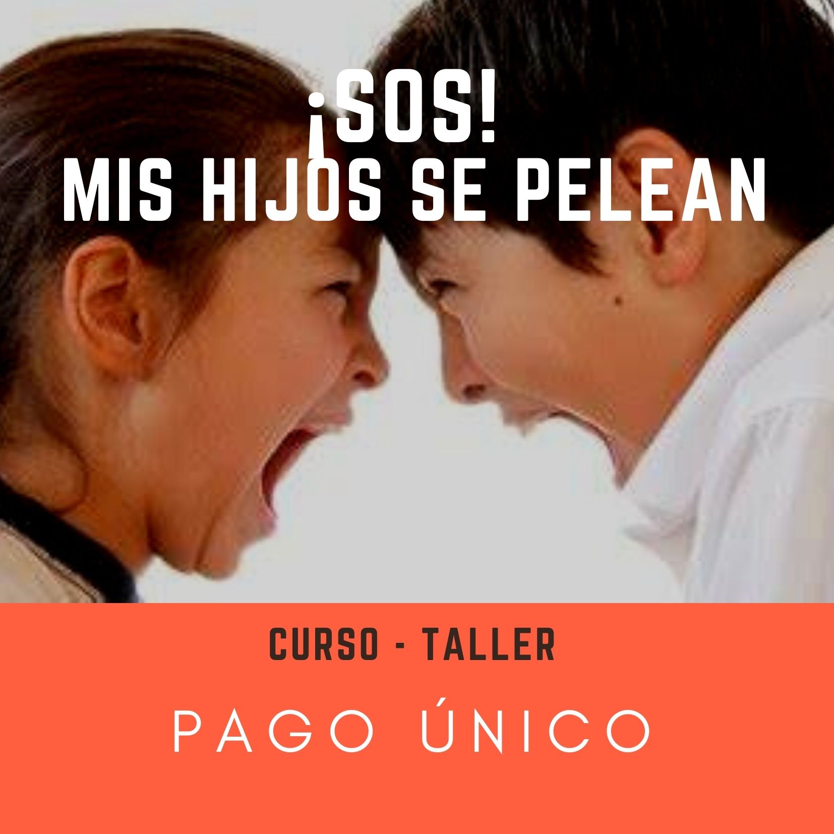 MIS HIJOS SE PELEAN PAGO UNICO AVANZAMOS PEDAGOGIA